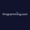 Programming.com is Hiring Node.js/Angular Developer - Web Application 2024/25 Jobs Internship